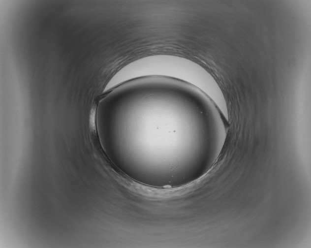 X0000112950047200908241351