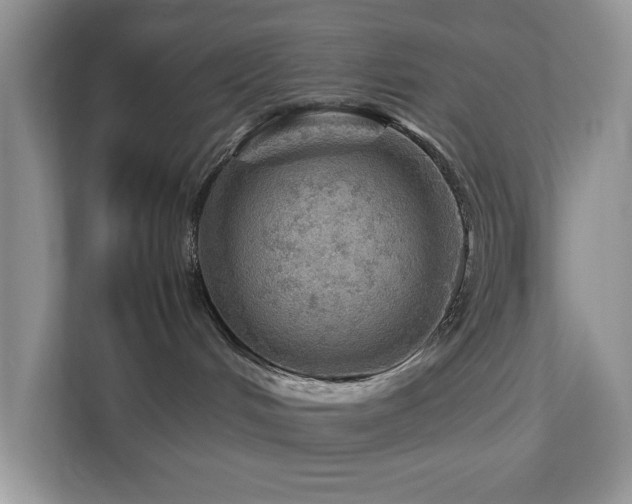 X0000112950048200908241351