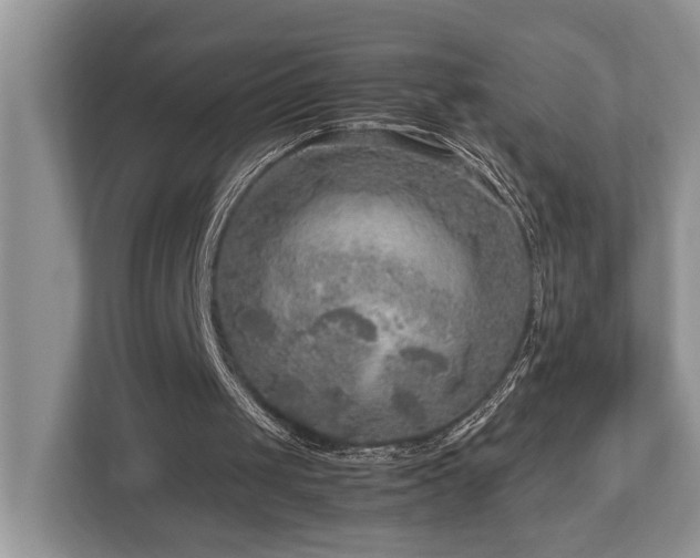 X0000112950049200908241351