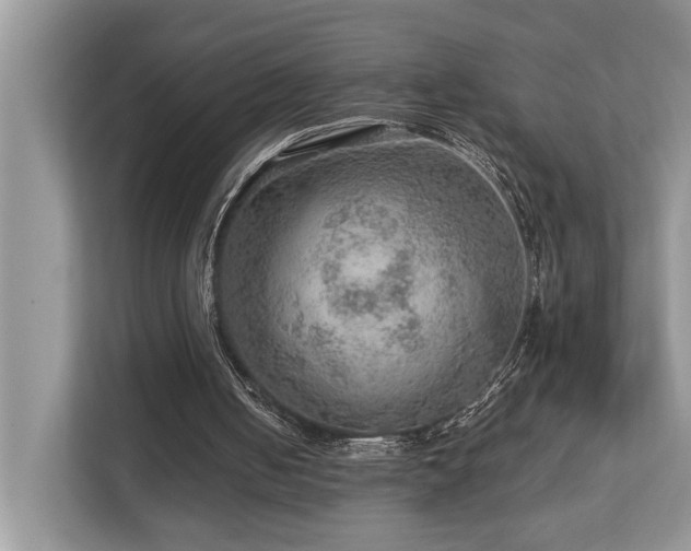 X0000112950050200908241351