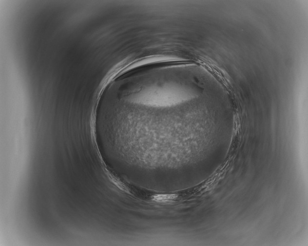 X0000112950051200908241351