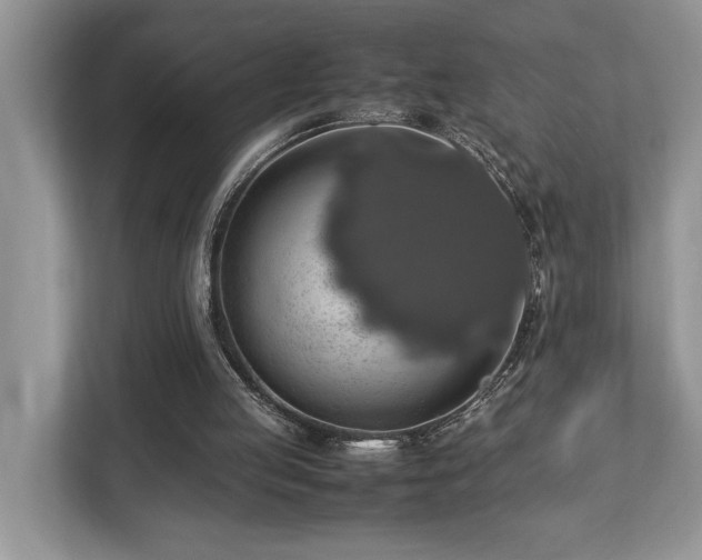 X0000112950053200908241351