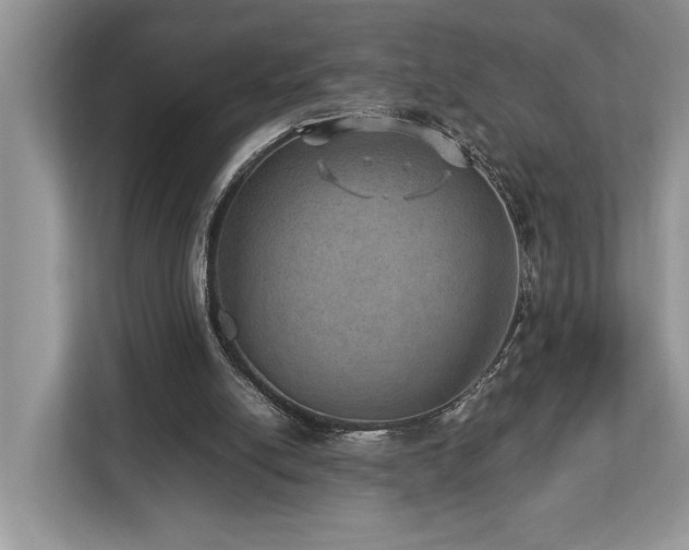 X0000112950054200908241351