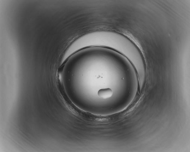 X0000112950057200908241351