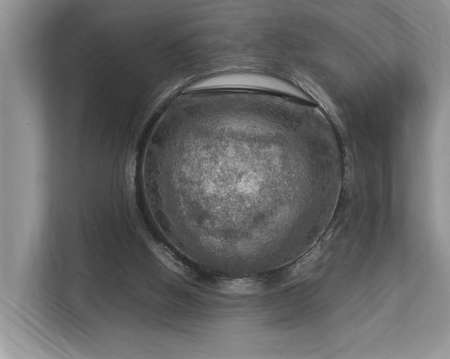 X0000112950058200908241351