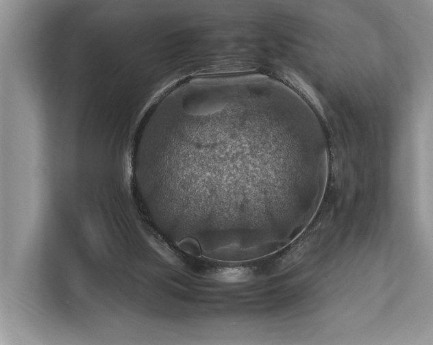 X0000112950059200908241351