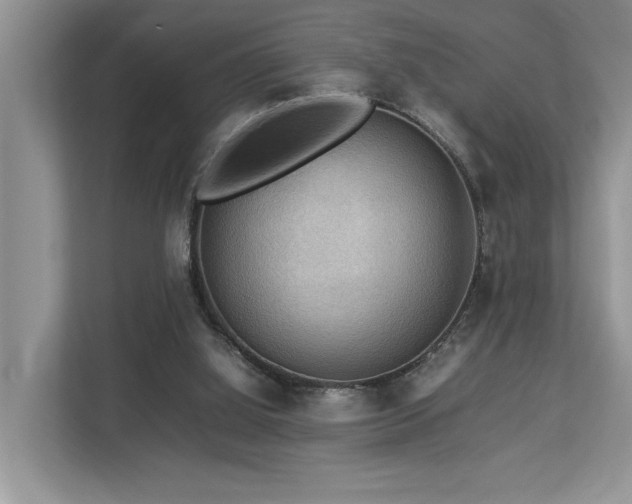 X0000112950060200908241351