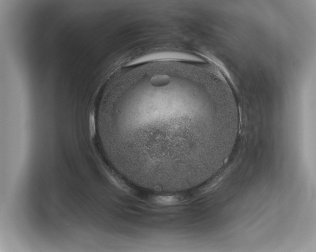 X0000112950061200908241351