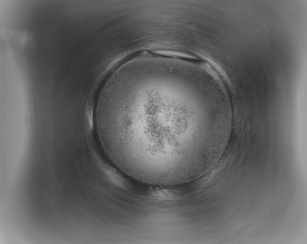 X0000112950062200908241351