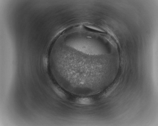 X0000112950063200908241351