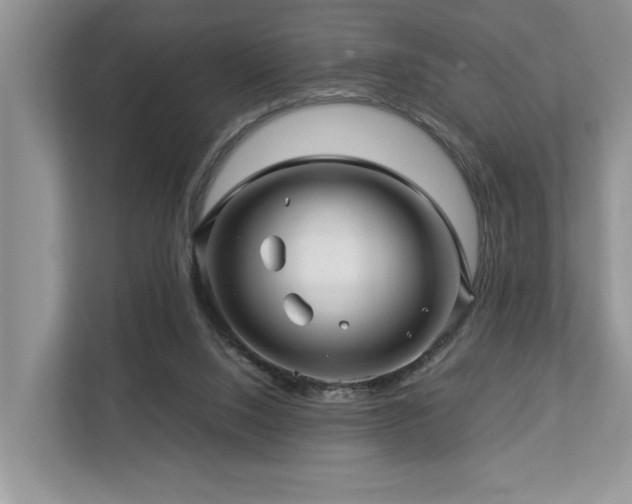 X0000112950064200908241351