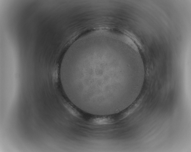 X0000112950065200908241351