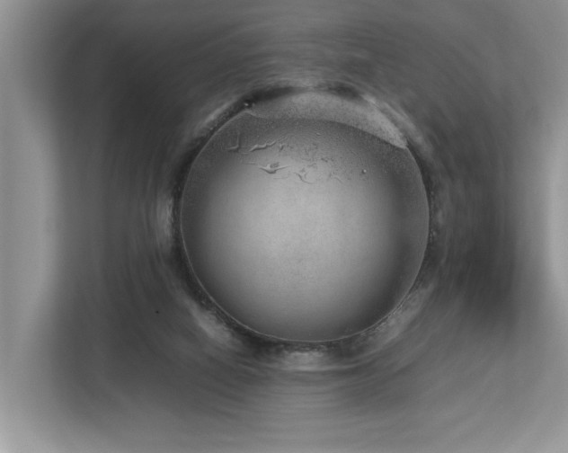 X0000112950066200908241351