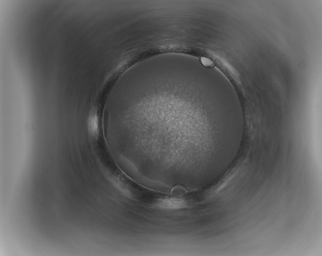 X0000112950067200908241351