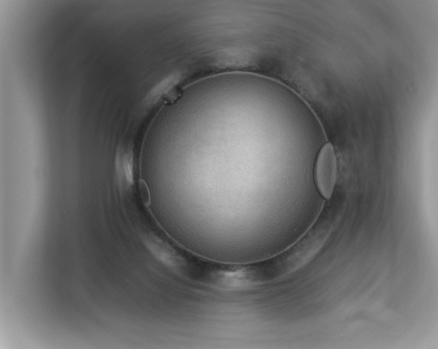 X0000112950068200908241351