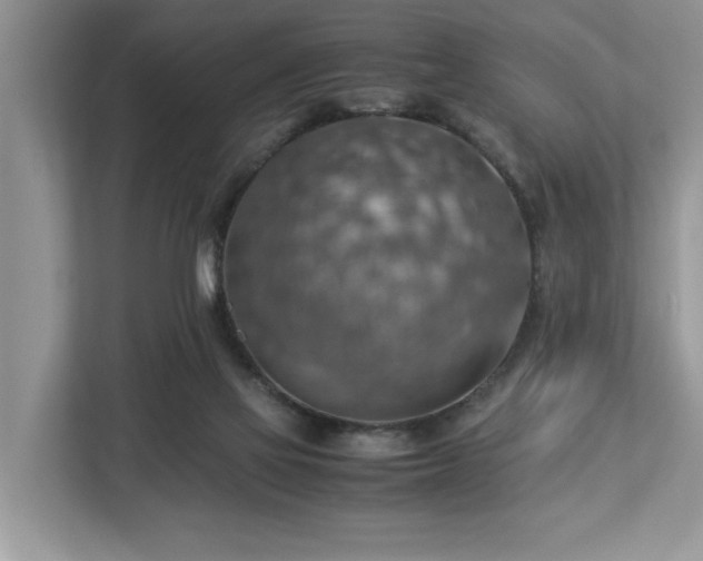 X0000112950069200908241351