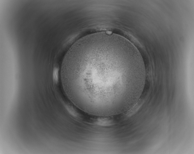 X0000112950070200908241351