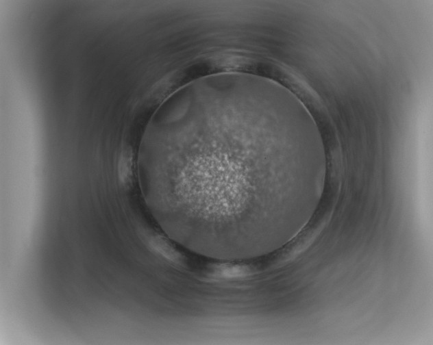 X0000112950073200908241351