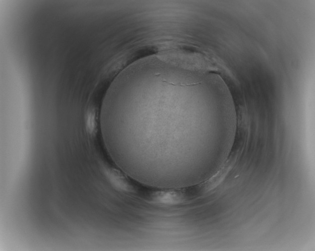 X0000112950074200908241351