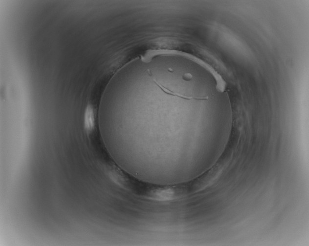 X0000112950075200908241351