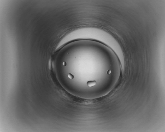 X0000112950076200908241351