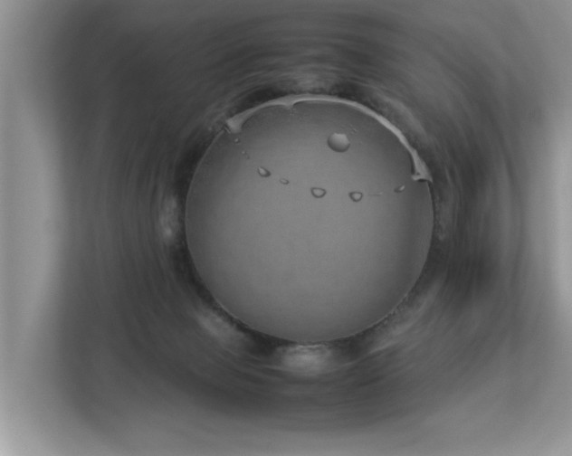 X0000112950077200908241351