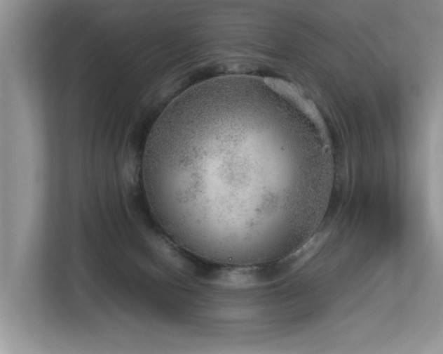 X0000112950078200908241351