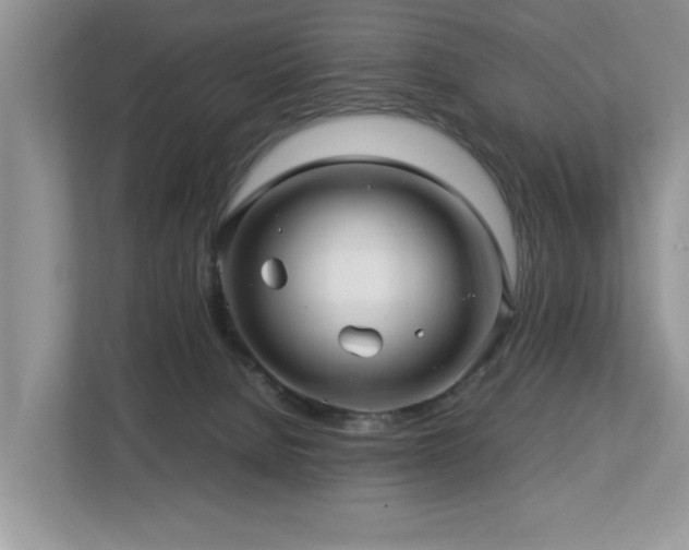 X0000112950080200908241351