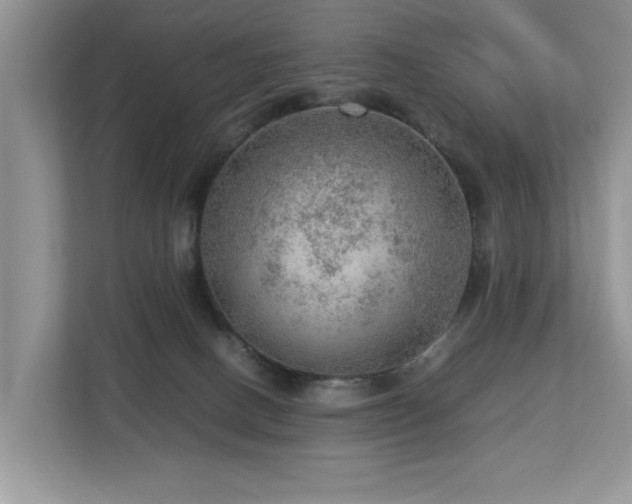 X0000112950082200908241351