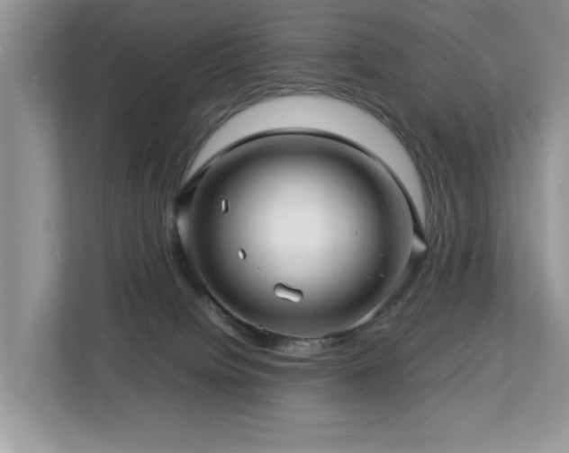 X0000112950084200908241351