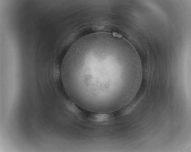 X0000112950085200908241351