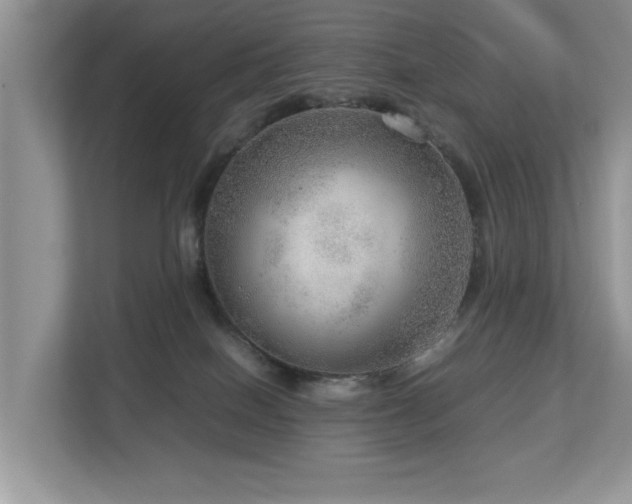 X0000112950086200908241351