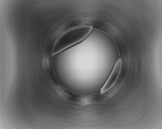 X0000112950088200908241351