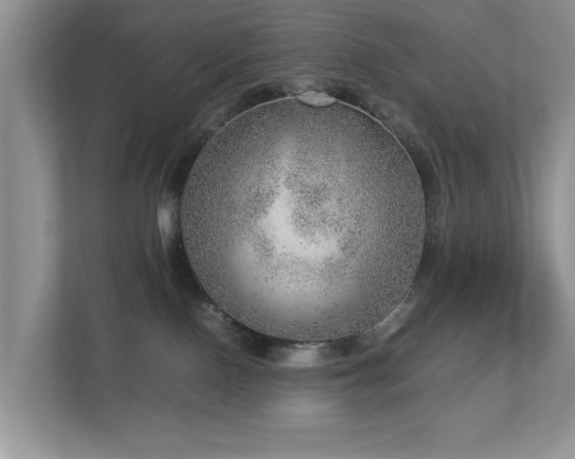 X0000112950090200908241351