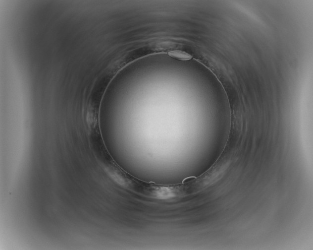 X0000112950091200908241351