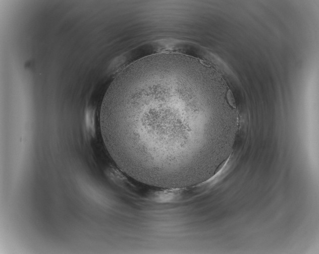 X0000112950094200908241351