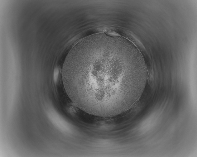 X0000112950095200908241351