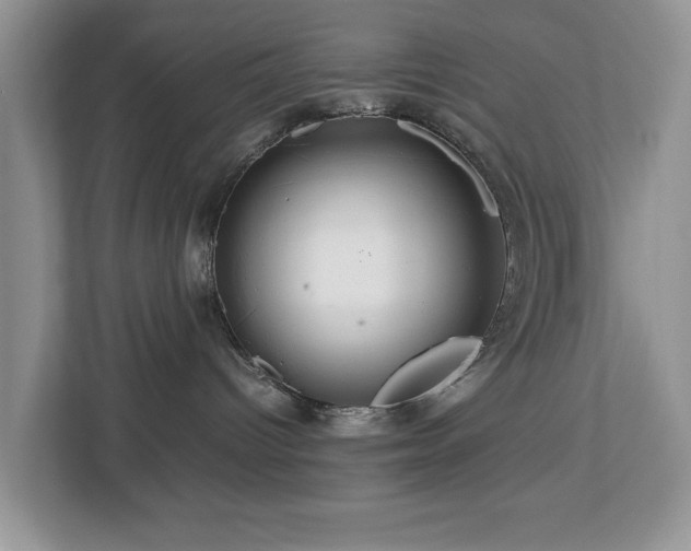 X0000112950096200908241351