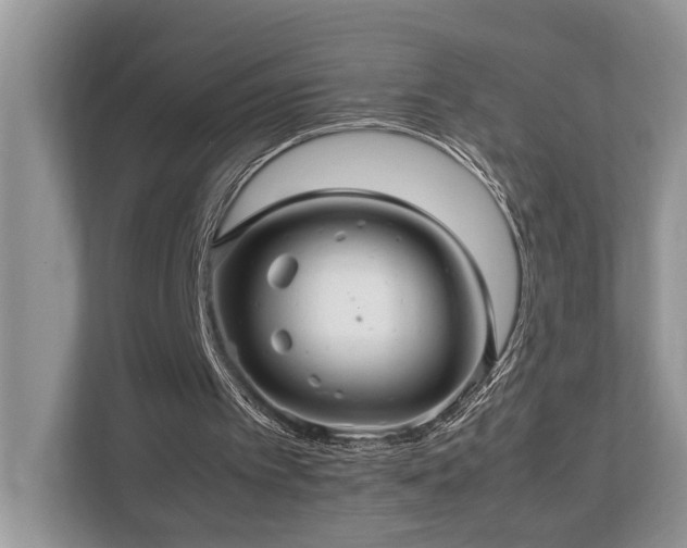 X0000112950097200908241351