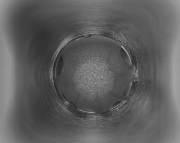 X0000112950099200908241351