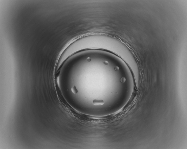 X0000112950100200908241351