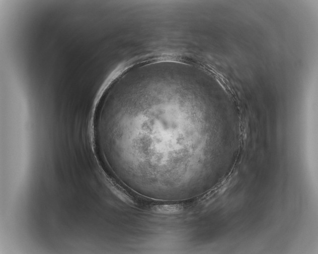 X0000112950102200908241351