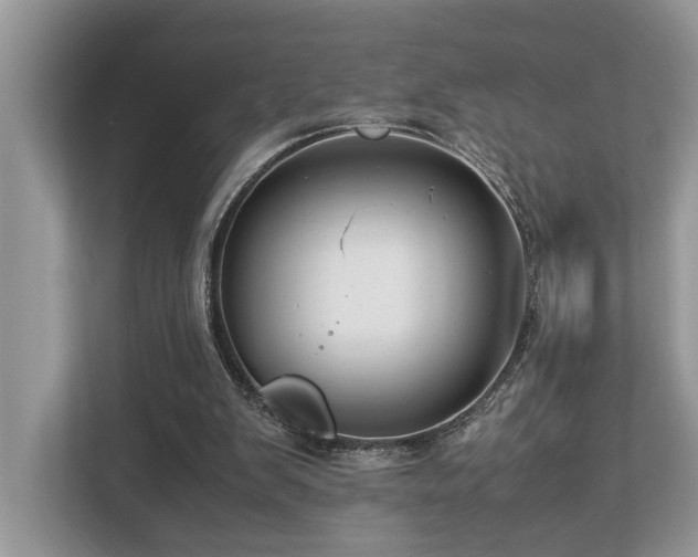 X0000112950103200908241351