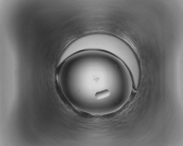 X0000112950105200908241350