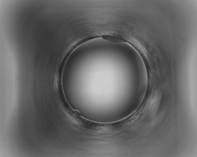 X0000112950107200908241350