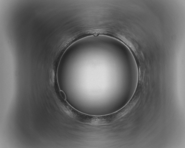 X0000112950109200908241350