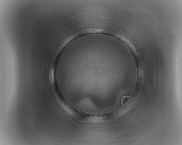 X0000112950110200908241350