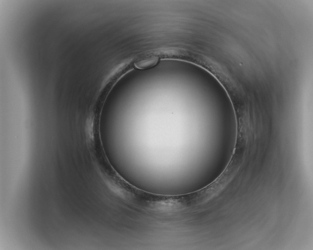 X0000112950112200908241350