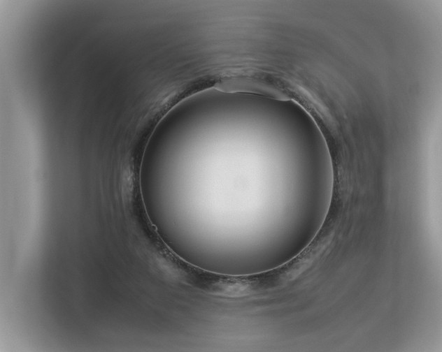 X0000112950113200908241350