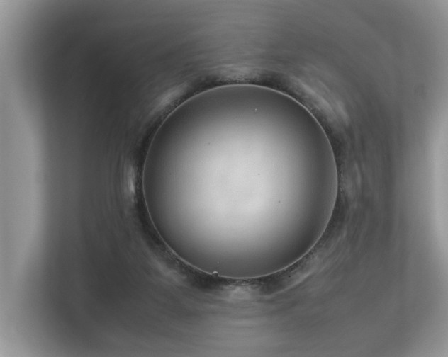 X0000112950115200908241350